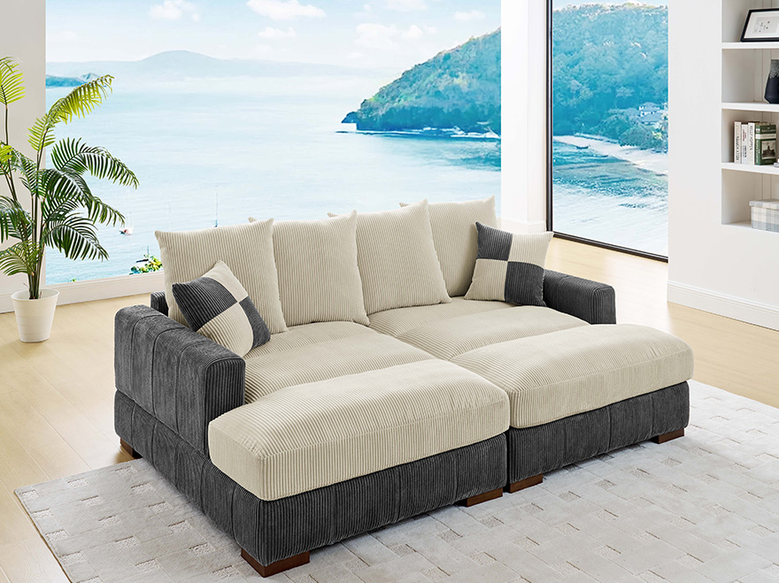2 Seat Two-Color Sectional Sofa with Contemporary Design