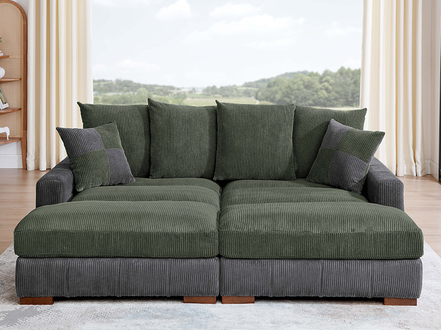 2 Seat Bicolor Modular Sofa with Chaise for Livingroom